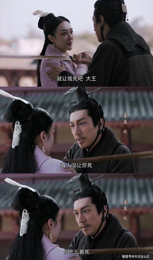 大秦赋国产新剧在线观看